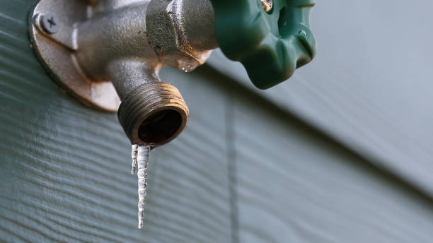 Best Sprinkler Systems  in Cecil Bishop, PA
