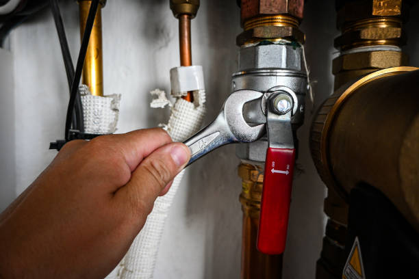 Best Clogged Drain Plumber  in Cecil Bishop, PA
